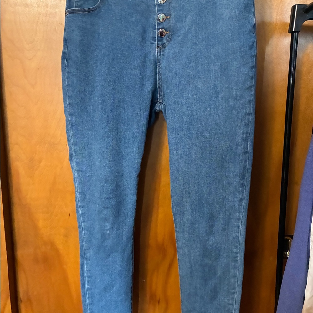 Chic Denim Women’s High-Rise Button-Front Blue Skinny Jeans 16 Ankle Grazer